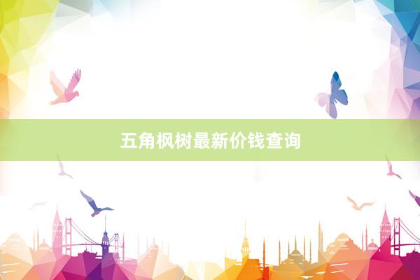 五角枫树最新价钱查询